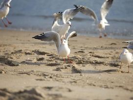2 Tage im Wellnesshotel Gran BelVeder in Scharbeutz