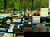3 Tage Waldhotel in Brabant – Ruhe & Natur erleben