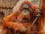 Tierpark und Tropen Aquarium Hagenbeck in Hamburg mit Hotel