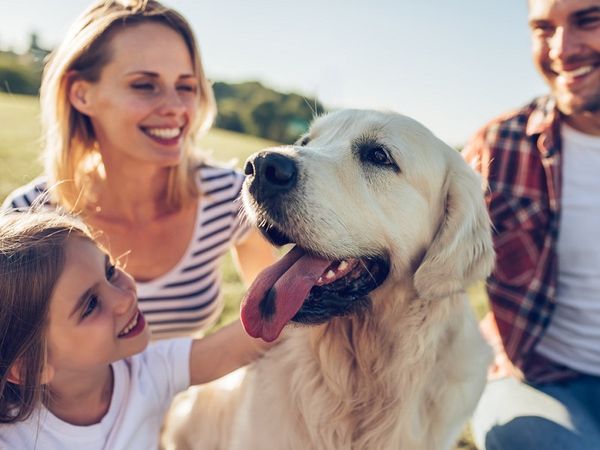 Urlaub mit Hund in Neustrelitz Halbpension