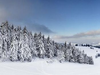 Bild 73 von 254