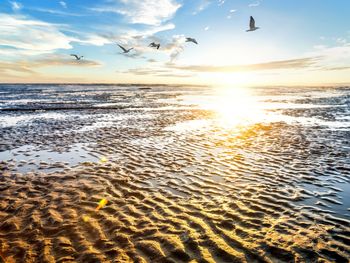 5 Tage an der Nordsee - MeerZeit inkl. Insel Föhr