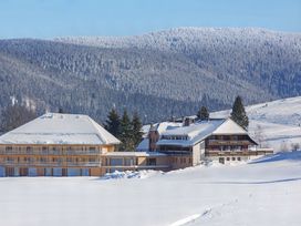 Wellnessauszeit im Schwarzwald- 3 Tage mit Massage