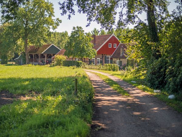 4 Tage Natur & Entspannung im Achterhoek entdecken in Winterswijk inkl. Halbpension