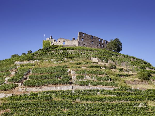 8 Tage Wein & Wandern in Staufen, Baden-Württemberg inkl. Halbpension