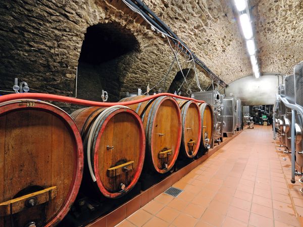 4 Tage Wein-und Kulinarikzeit inmitten von Weinbergen in Baden-Baden (OT Neuweier), Baden-Württemberg inkl. Halbpension