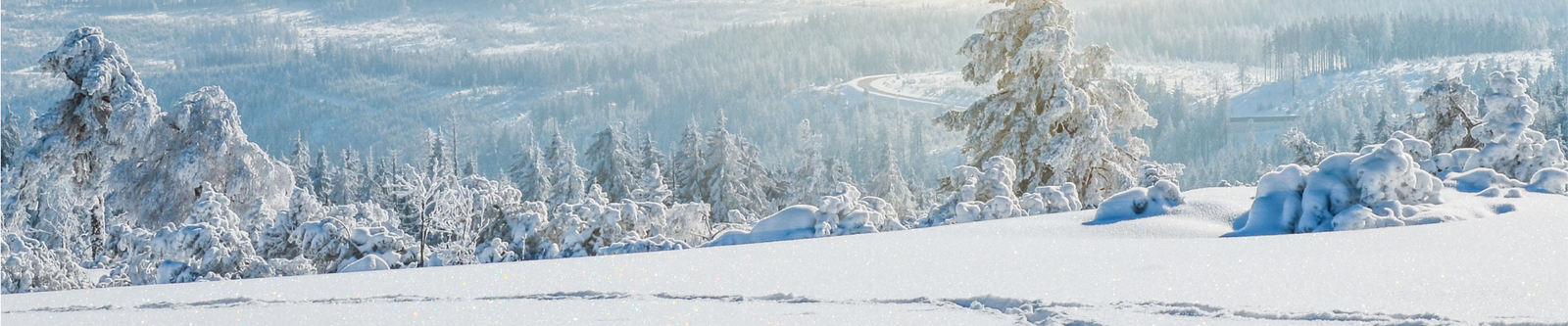 Schneeschuhwandern im Schwarzwald