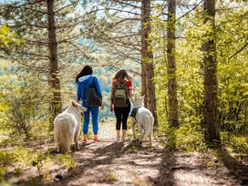 Wanderurlaub Pfälzerwald inkl. Halbpension | 5 Tage