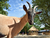 Erlebnis-Zoo Hannover mit Hotel