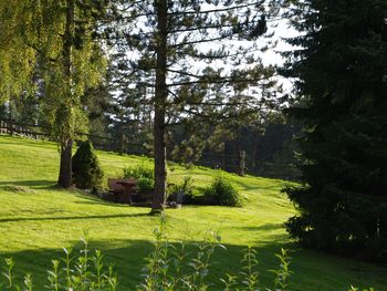 Kuscheltage im Waldhotel