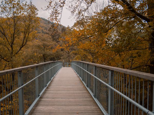 2 Tage im CAREA Residenz Hotel Harzhöhe mit AI in Goslar OT Hahnenklee, Niedersachsen inkl. All Inclusive