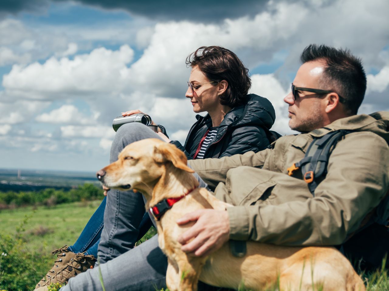 Tierisches Vergnügen - Bergferien mit dem Hund / 8 T.