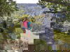 Blumige Farbenpracht-Insel Mainau im Bodensee | 4 T.