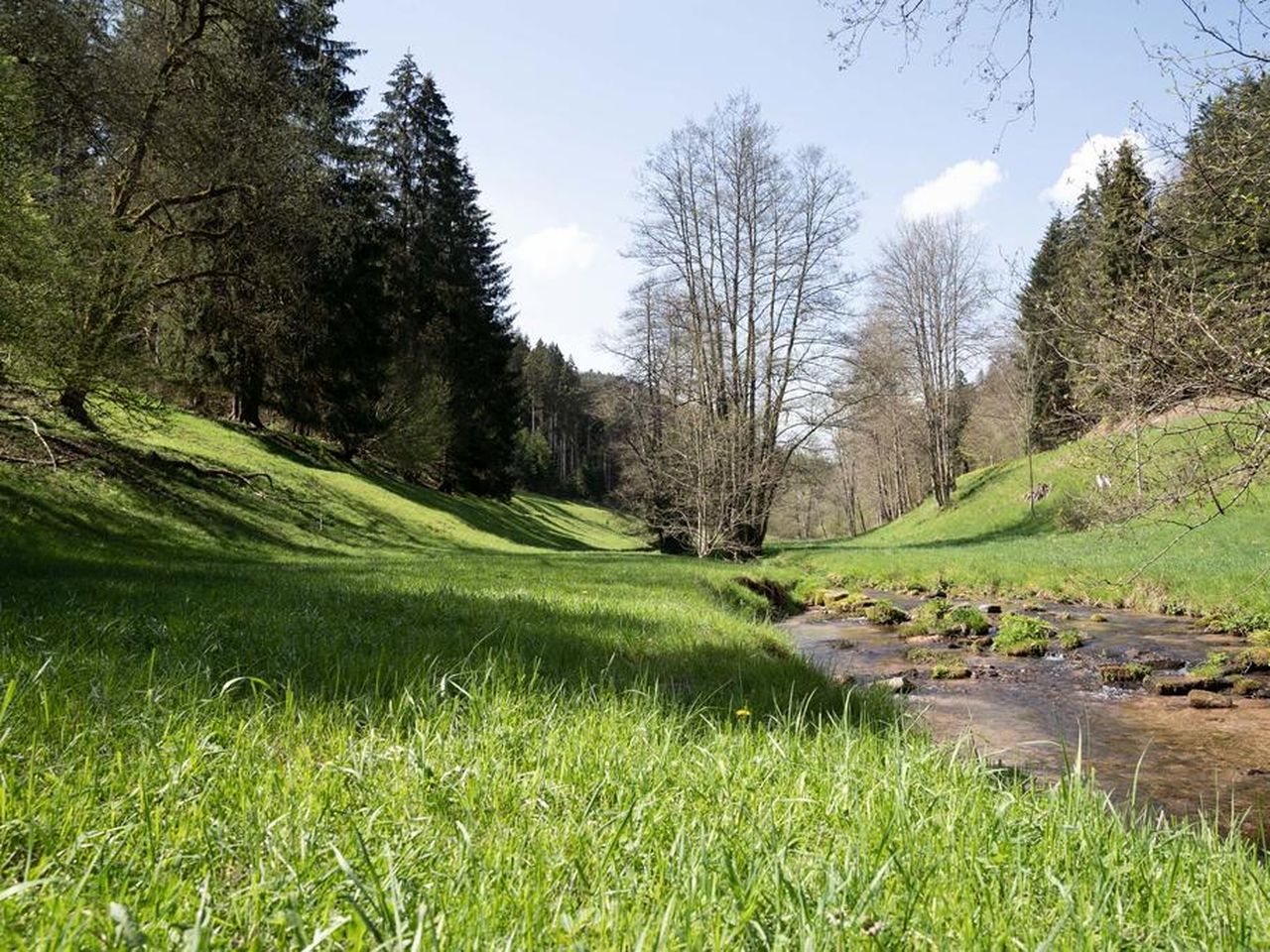 Natur pur  mit Baumwipfelpfad 4 Tage