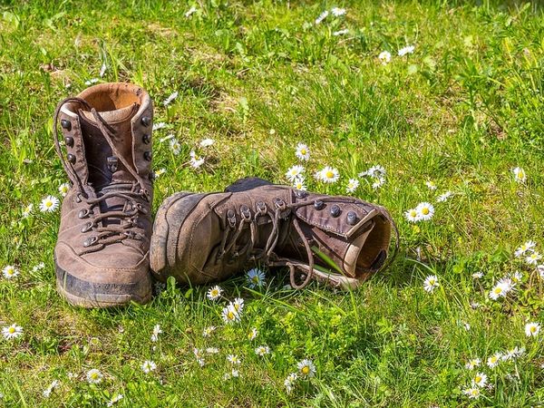 Das ist „Wanderbar“ inmitten des Hunsrück in Kirchberg (Hunsrück) Halbpension