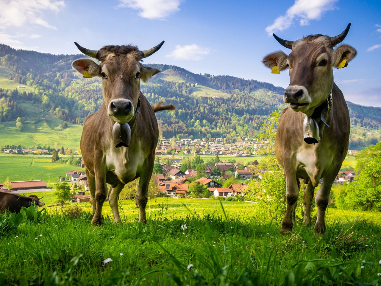 4 Tage Entspannung im spitzen Wellnesshotel im Allgäu