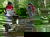 Kulturelle Entdeckertour inkl. Entdecker-Card |3 Tage