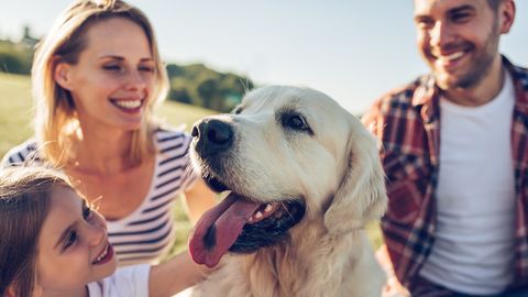 Wellness Wochenende mit Hund
