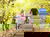 3 Tage Radwandern im Emsland