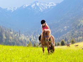 Zwischen Königsschlössern und Alpenland - 4 Tage