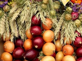 Weimarer Zwiebelmarkt  - Thüringens traditionsreichstes Volksfest