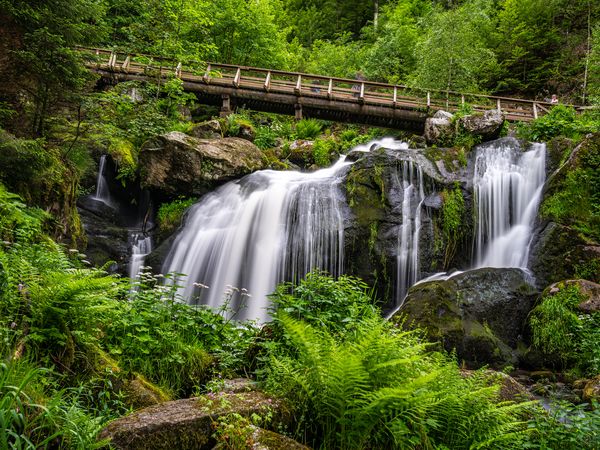 Entspannung PUR -5 Tage Bad Dürrheim & SOLEMAR Therme, Baden-Württemberg inkl. Frühstück
