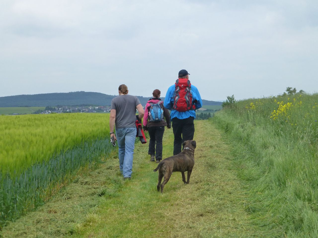 4 Tage Traumschleifen - Wandern im Hunsrück