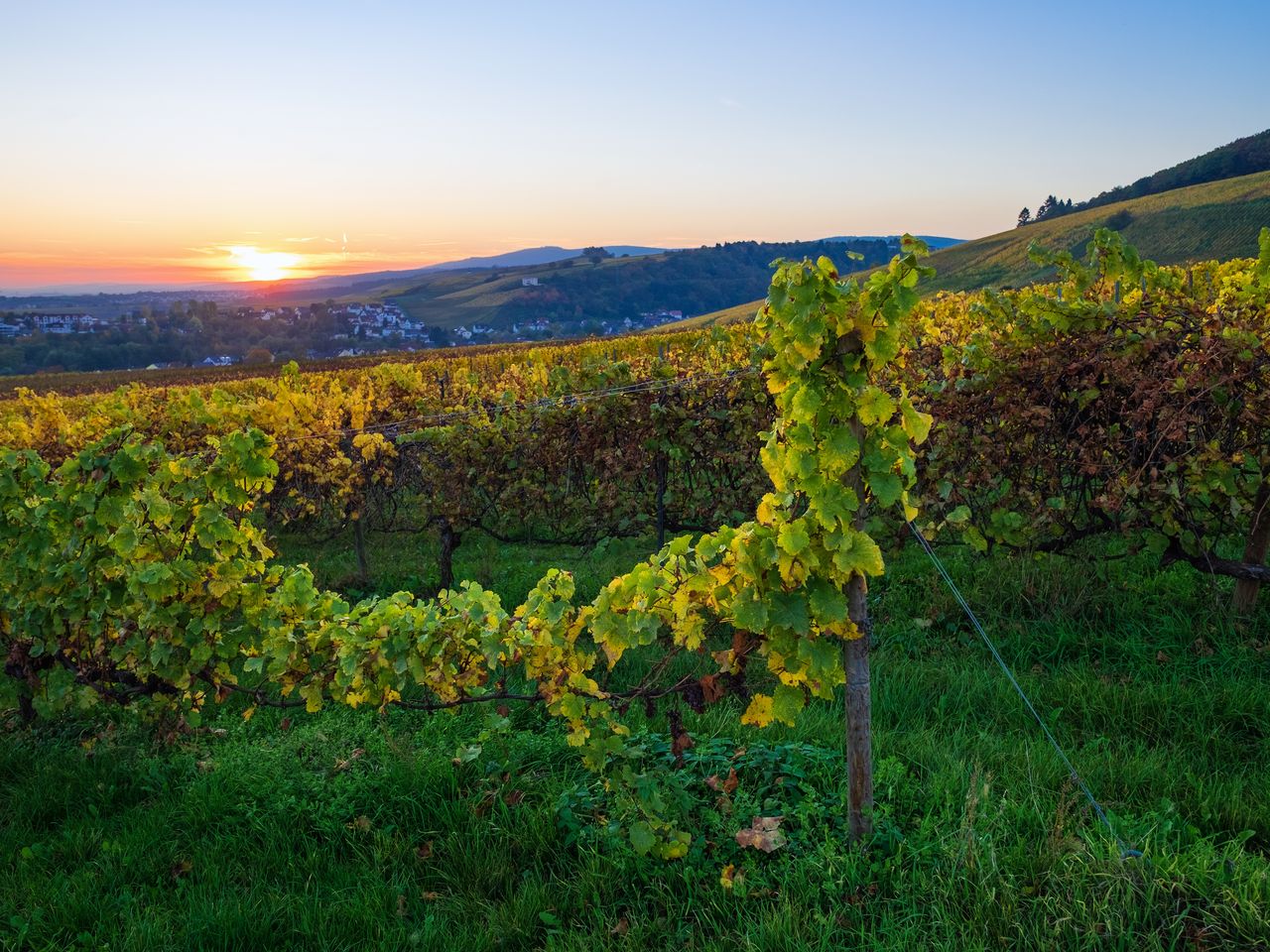 Perpedes im Taunus - Wandern am Limes  | 5 Tage