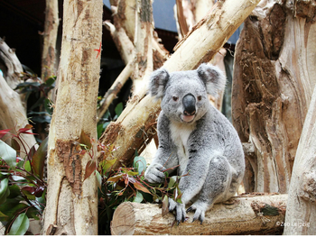 Zoo Leipzig