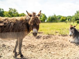 2 Tage Ostsee-Feeling in Rostock