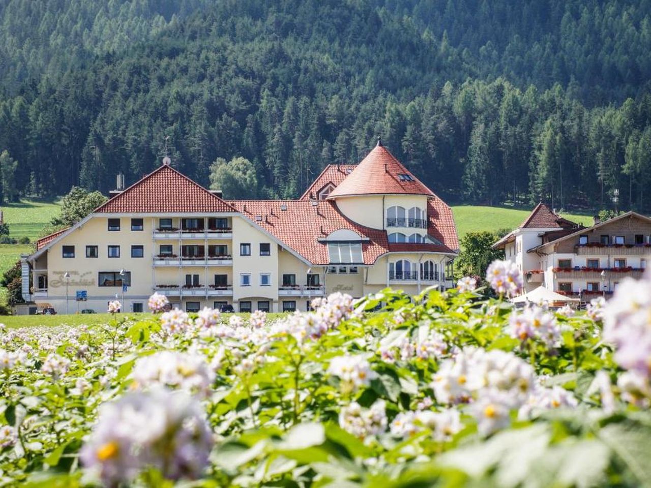 4 Tage Südtirol: Skiurlaub mit Wellness am Kronplatz