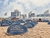 Die Nordsee & Den Haag erleben - 4 Tage mit Frühstück