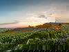 Kurzreise am Kaiserstuhl