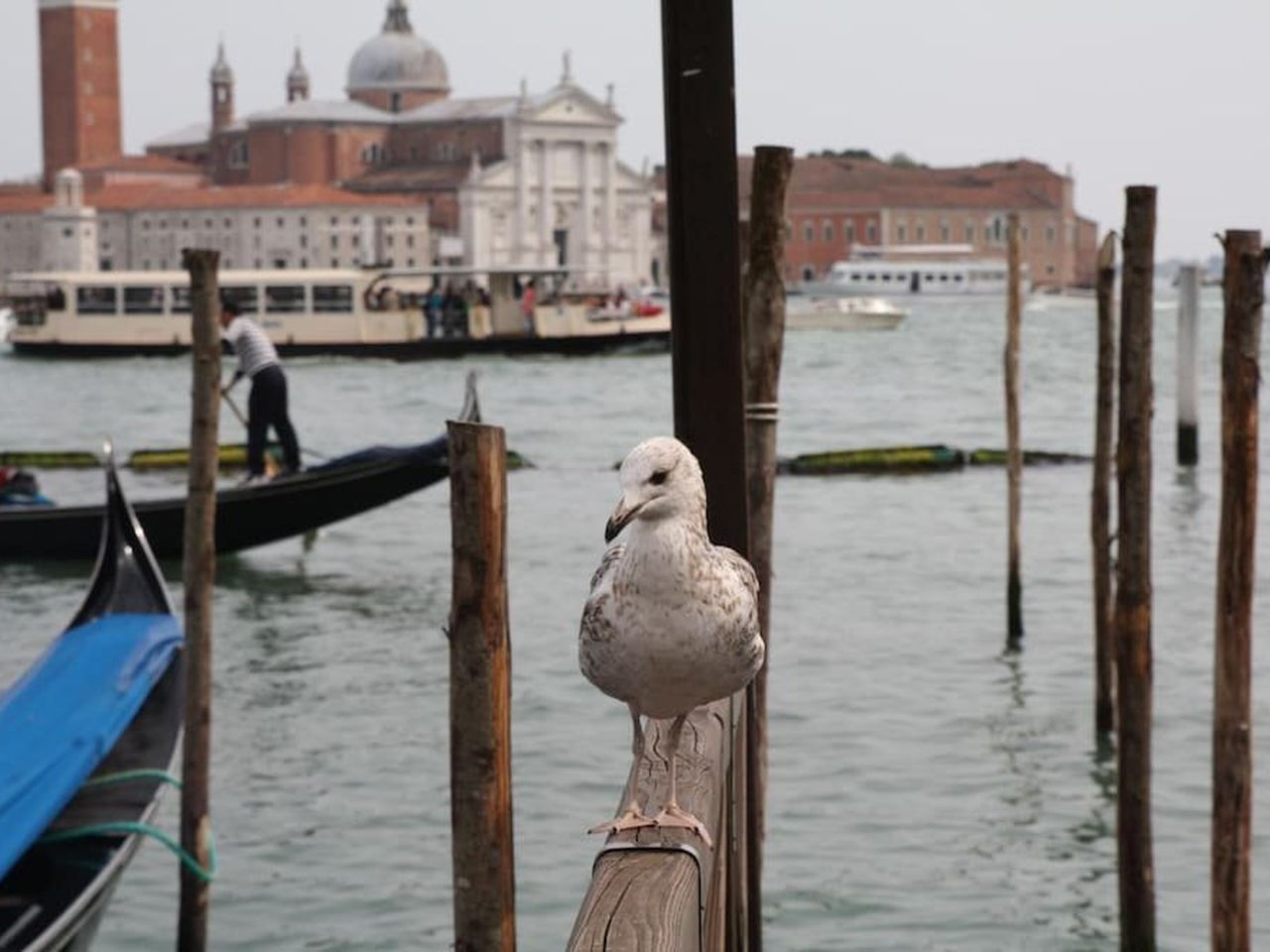 9 Tage zwischen Meer und Therme - Erholsames Bibione