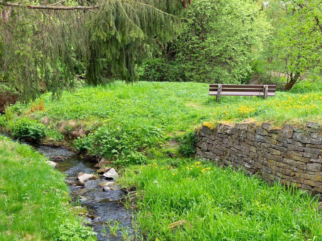 Urlaub im Harz - 5 Hotelübernachtungen
