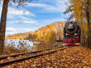 Martinsgans-Special inkl. Menü - 3 Tage / 2 Nächte