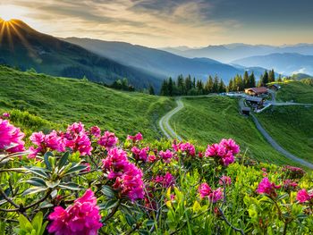 6 Tage Urlaub am Ski Juwel in Tirol