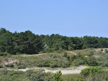 6 Tage umgeben vom schönen Naturgebiet Meijendel