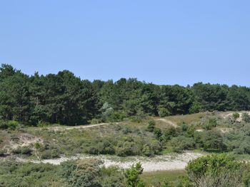 Bild 14 von 17