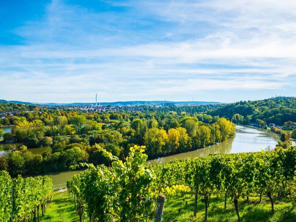5 Tage in Weinstadt - erkunden Sie Stuttgart, Ludwigsburg und den Neckar in Weinstadt - Beutelsbach, Baden-Württemberg inkl. Frühstück