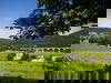 Kleine Auszeit im Sauerland - 4 Tage