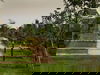 6 Tage Urlaub in Bibione mit HP