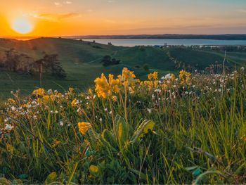 6 Tage Silvester auf dem Mönchgut / Rügen