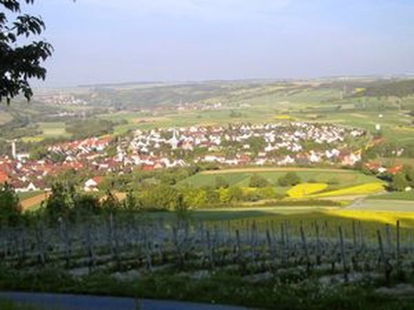 4 Tage Wein und Kultur -4 für 3 in Bad Mergentheim, Baden-Württemberg inkl. Halbpension