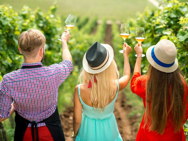 5 Tage Mosel pur – Naturgenuss mit Ausblick in Löf, Rheinland-Pfalz inkl. Frühstück