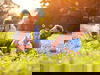 Bayerischer Wald für Familien - Kinder gratis* 4Tg/HP