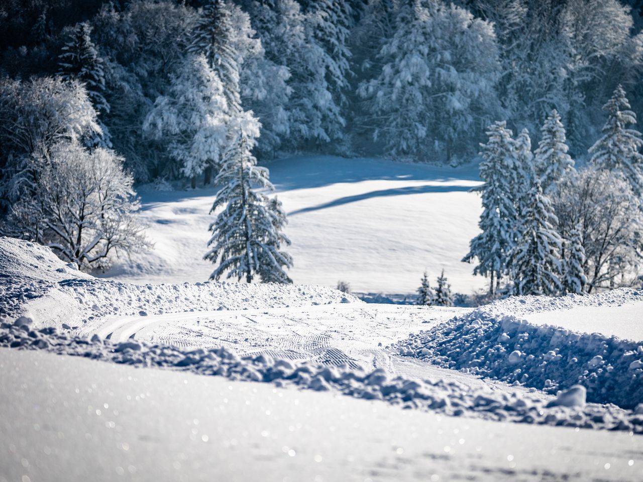 Golfgenuss im Allgäu vor alpiner Kulisse