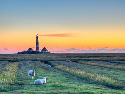 5 Tage Nordsee-Auszeit in Büsum