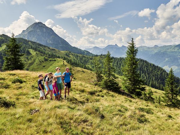 Wandern & Liftln im Salzburger Land inkl. Sportwelt C in Wagrain Frühstück
