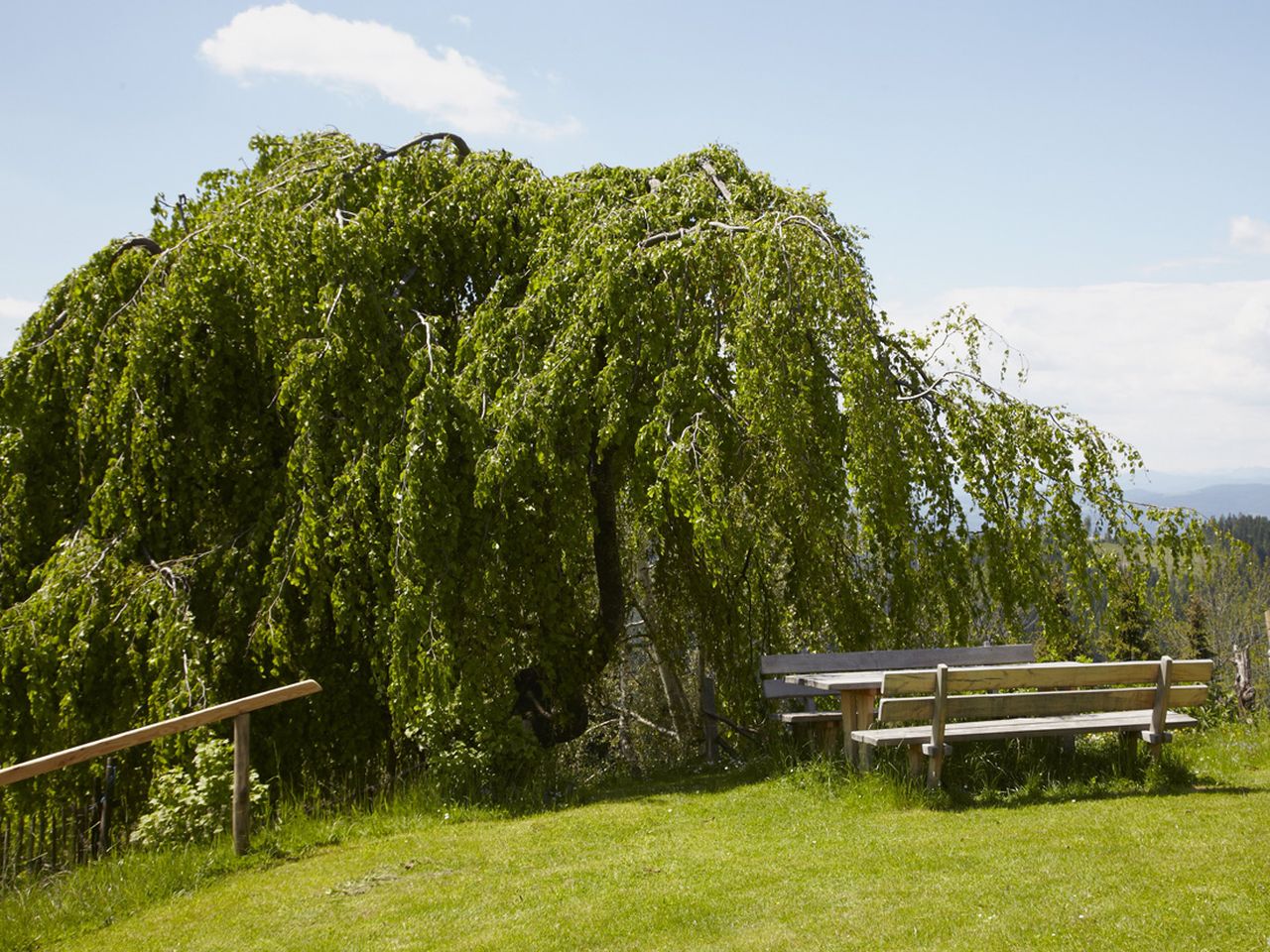 Urlaub im Biolandhaus am Liebesbrunnen